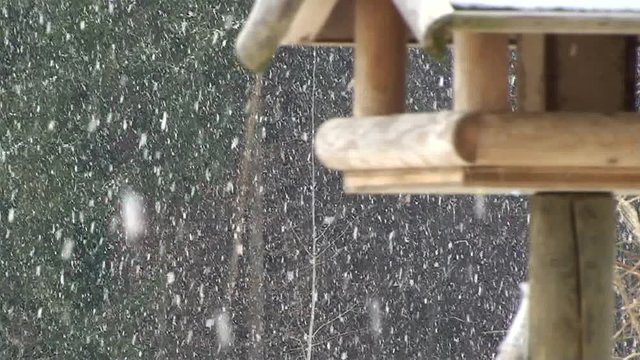 Starker Schneefall und im Vordergrund unscharf eine Vogelhäuschen