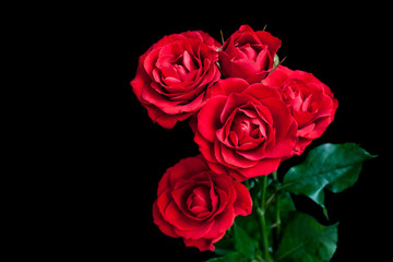 Bouquet of beautiful red roses on black background, Floral wallpaper