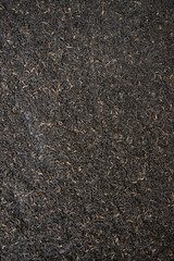 Indian black tea scattered on the table.