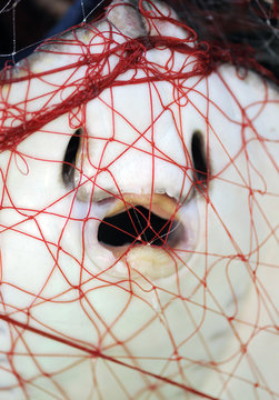 Stingray (Dasyatis pastinaca) caught in fishing net, Sardinia, Italy.