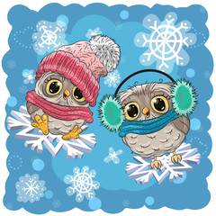 Two Cute Owls