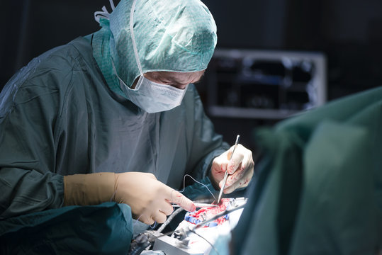รูปภาพOperation – เลือกดูภาพถ่ายสต็อก เวกเตอร์ และวิดีโอ504,107 | Adobe ...