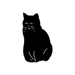 Obraz premium It is a pathetic black cat