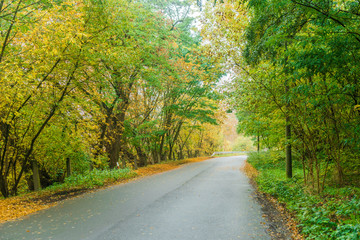 Obraz premium Road passing through colorful fall woodland