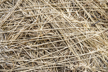 Straw and natural  rope closeup