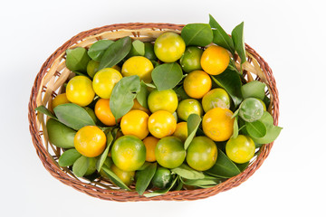 Kumquat