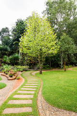 pathway in formal nature garden and green lawn