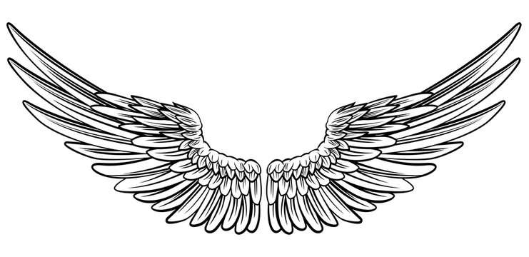 Pair of Spread Wings