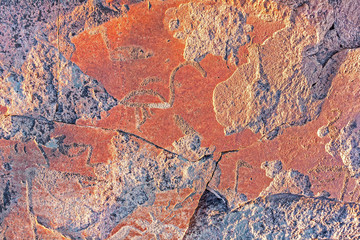 Ancient petroglyphs (rock engravings of 4th-2nd millennia BC) of swans carved on granite Onega Lake shore. Besov Nos cape, Karelia Republic, Russia.
