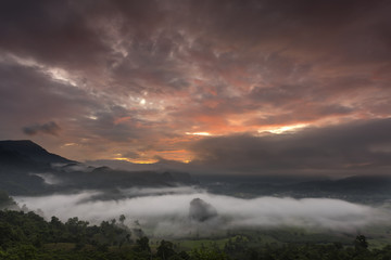 Fototapeta na wymiar Sunrise and Mist, Doi Phulangka, rainy season, Province Phayao, Thailand