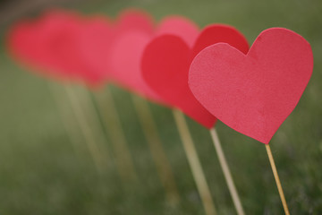Heart shape applied on the lawn