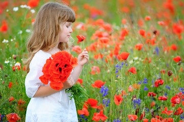 cute child little girl with wild flowers at the summer field