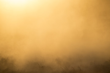 Obraz na płótnie Canvas farmland is harrowed before the crop with dusty background