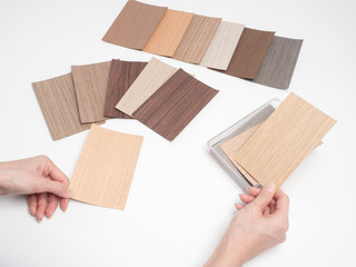 Samples of veneer wood on white background. interior design select material for idea.