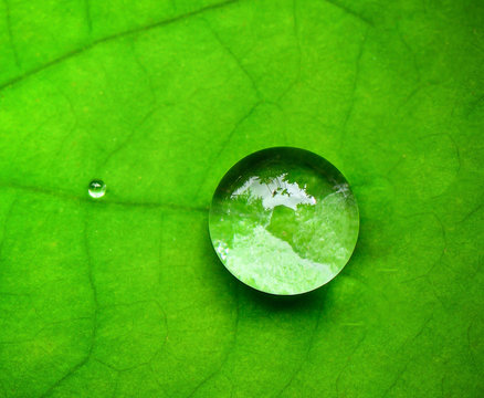 Water Droplet On A Leaf Images – Browse 422,029 Stock Photos, Vectors ...