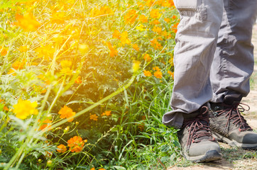 A man standing along the walk way of yellow flora field