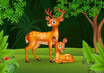Fototapeta premium Cartoon deer with her calf