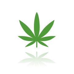 Cannabis - Marijuana - Hanf