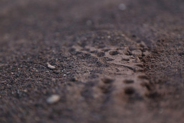 schuhabdruck im sand