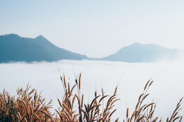 Beautiful landscape mountain view with foggy in morning at countryside Thailand.
