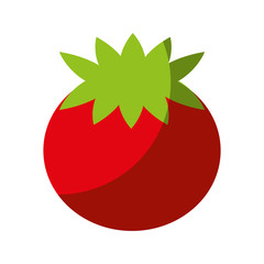 tomato fresh vegetable isolated icon vector illustration design