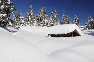Wintertraum