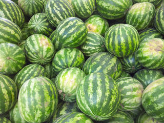 Watermelons on the market.