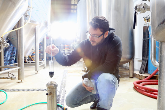 Worker in brewery, checking alcohol and sugar content of product
