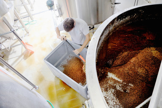 Worker emptying spent grains from mash tun, overhead view