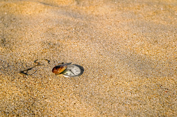 Fototapeta na wymiar Still life - Vintage rotten pocket watch and sea shell buried partial in the sand.