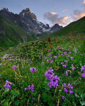 Rural landscape, Ushba Mountain in background, Caucasus, Svaneti, Georgia