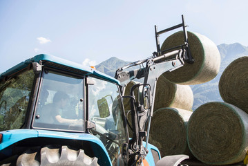 Harvesting tractor stacking circular haystacks