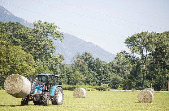 Harvesting tractor loading haystacks in field