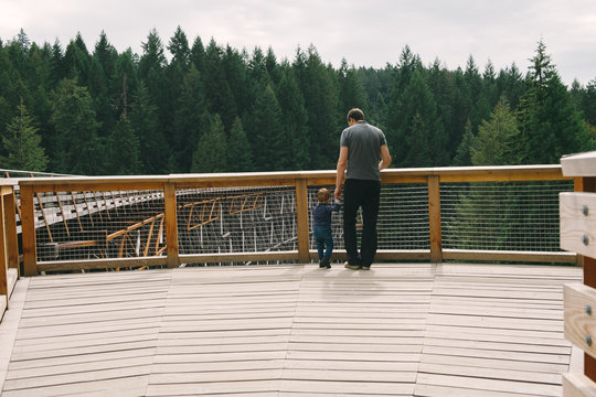 Father and son standing on bridge, rear view, Kinsol Trestle Bridge, British Columbia, Canada