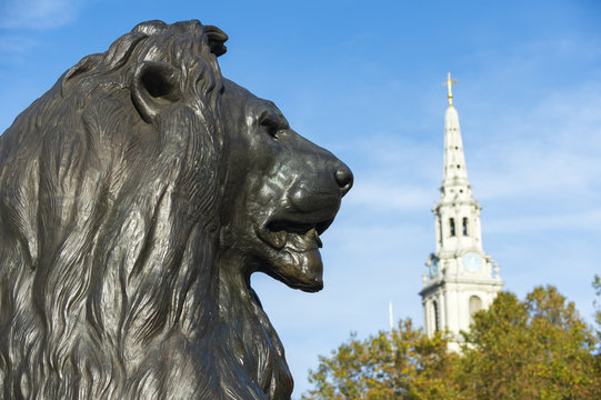 Handsome profile portrait of one of the beloved bronze lions in Trafalgar Square, London, England, installed in 1868, with the spire of St Martin-in-the-Fields church, built in 1726