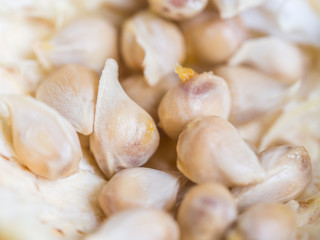 Closeup of orange seeds pattern