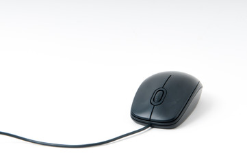 Computer mouse isolated on white background.