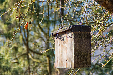 A little bird house on a tree