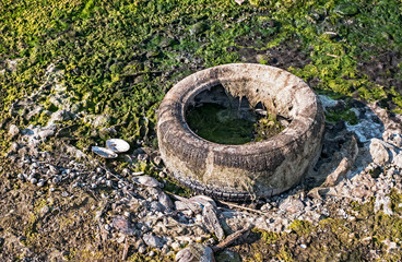 An old truck tire covered with algae polluting the beach
