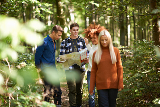 Man hiking with friends in forest holding map
