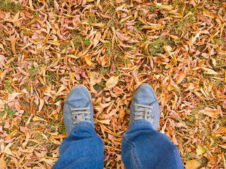 Feet on autumn leaves.