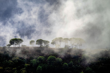 Andalusien - Nebel in Ronda