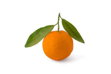 Tangerines with green leaves on a white background with clipping path