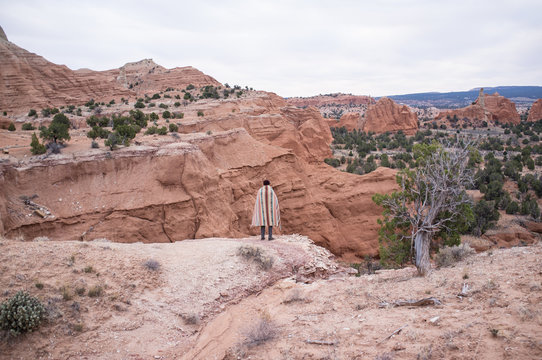 Rear view of man looking at view of sandstone mountains, Kodachrome basin state park, Utah, USA