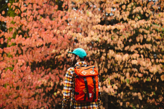 Young man in rural setting, carrying backpack, rear view