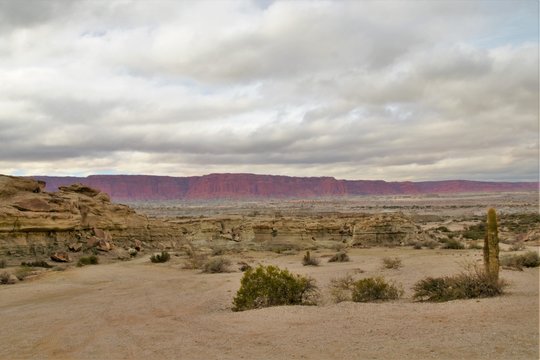 Long shot of the nature reserve Ischigualasto also called Valle de la Luna in the area San Juan in Argentina, South America