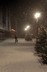 Evening snowfall in a quiet street