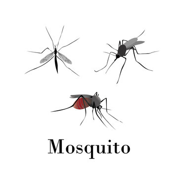 Mosquitoes silhouette vector set on a white background