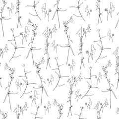 Linaria vulgaris, common toadflax, yellow toadflax or butter-and-eggs is a species of toadflax, snapdragon, Plantaginaceae family, hand drawn vector graphic illustration, seamless floral pattern