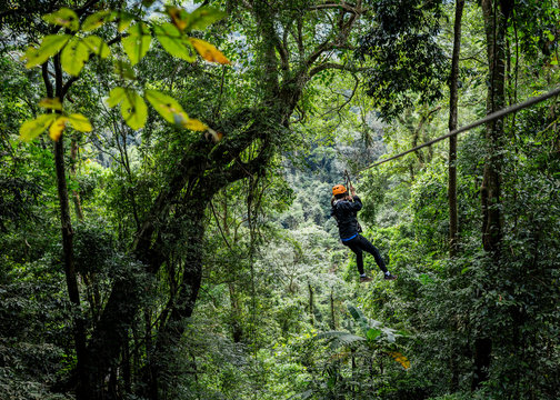 Woman on zip wire in forest, Ban Nongluang, Champassak province, Paksong, Laos